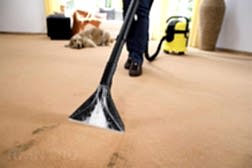 Экологическая